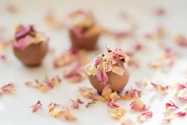 Andromeda Cazino Cazinou Aplicație Android/iOS